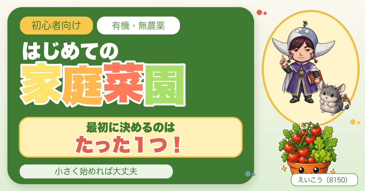 【初心者向け】はじめての家庭菜園🌱