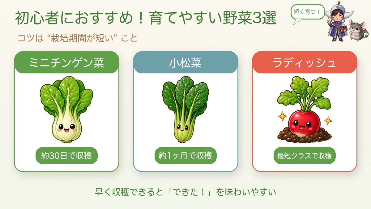 育てやすい野菜3選