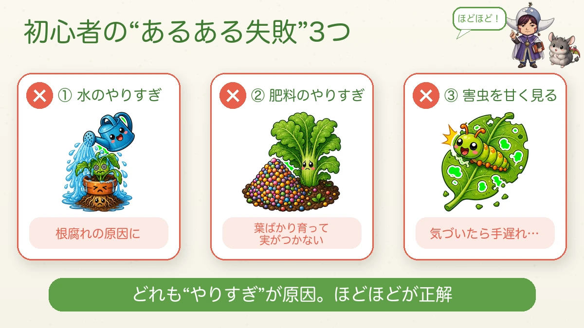 初心者の3大失敗