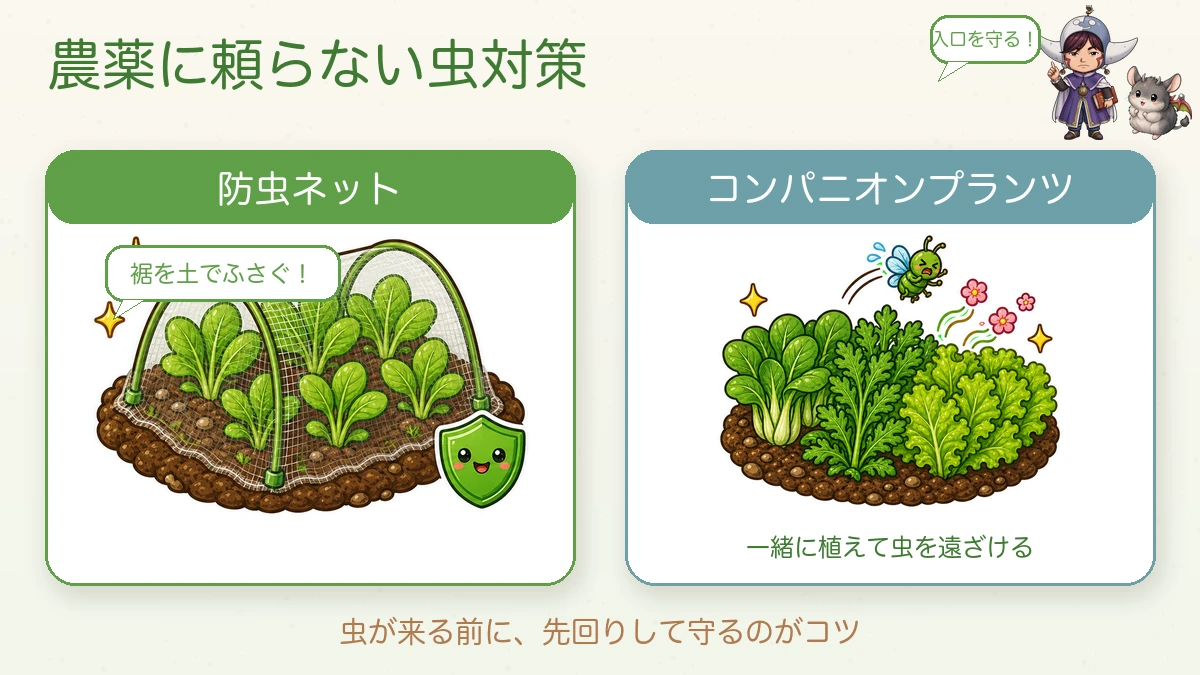 無農薬の虫対策