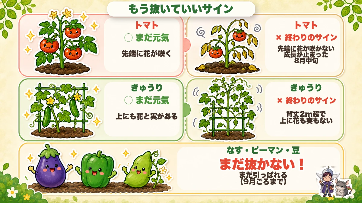 夏野菜の終わりのサイン