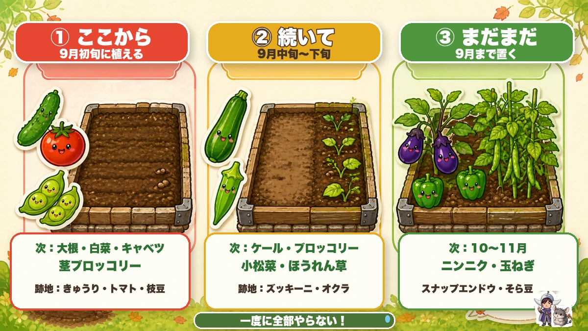 抜く順番はここから・続いて・まだまだ