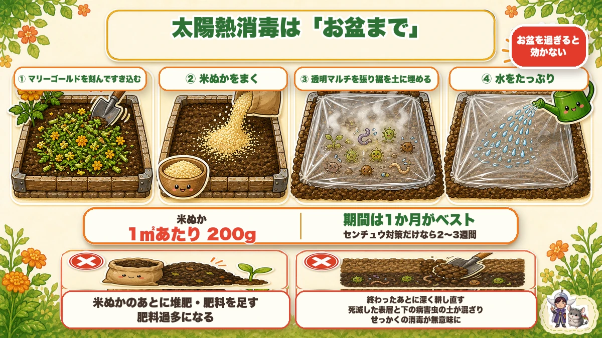 太陽熱消毒はお盆まで
