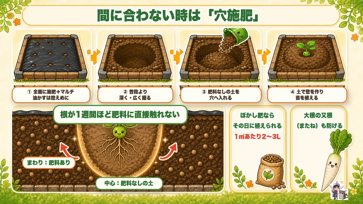間に合わない人のための穴施肥