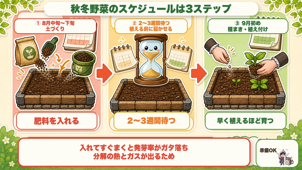 秋冬野菜のスケジュールは3ステップ