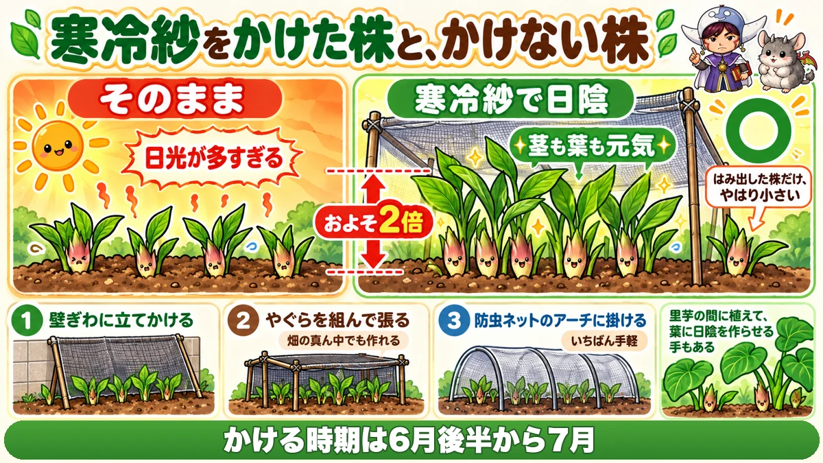日陰で倍になる