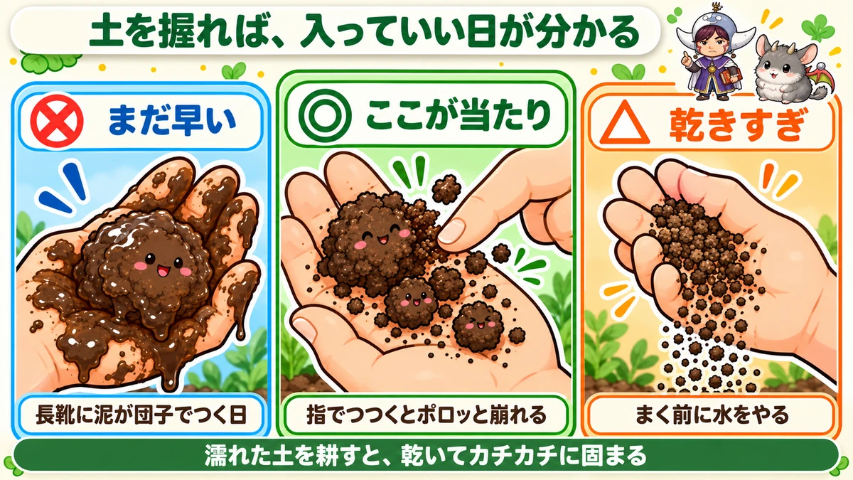 握って確かめる