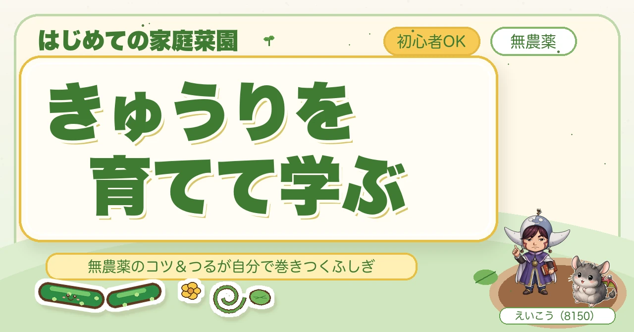 きゅうりを育てて学ぶ🥒 無農薬のコツと「つるが自分で巻きつく」ふしぎ