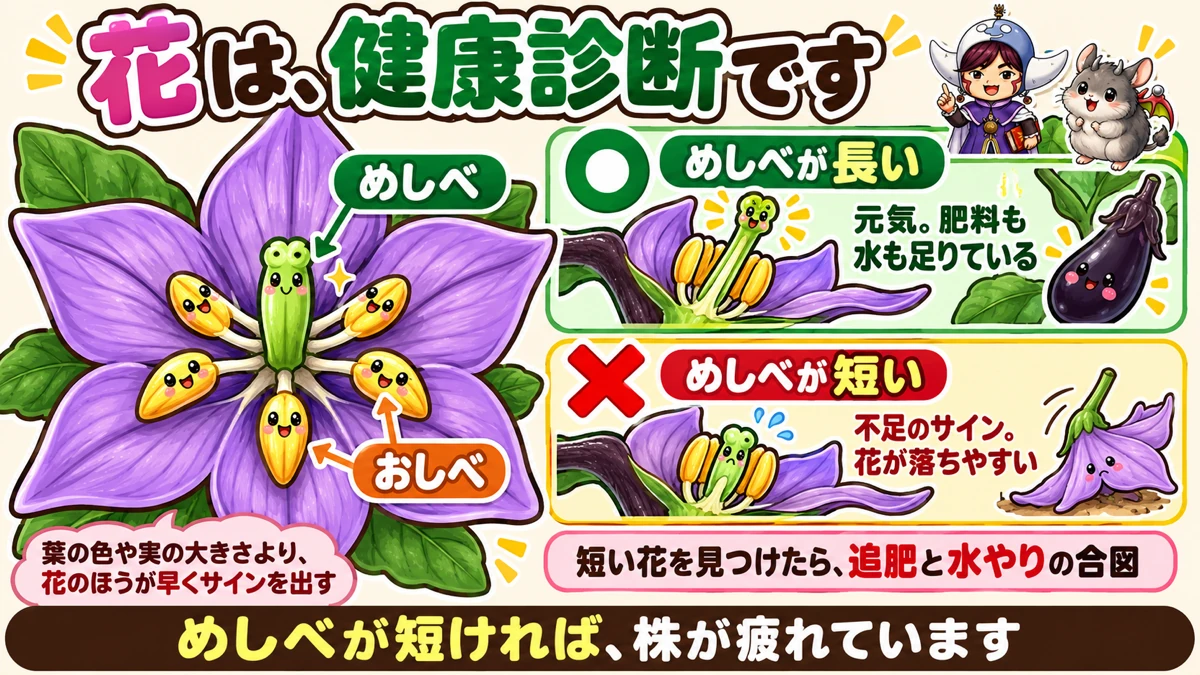 花で診断