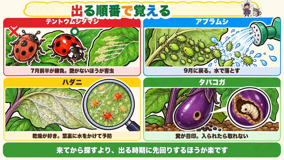 夏の虫4つ
