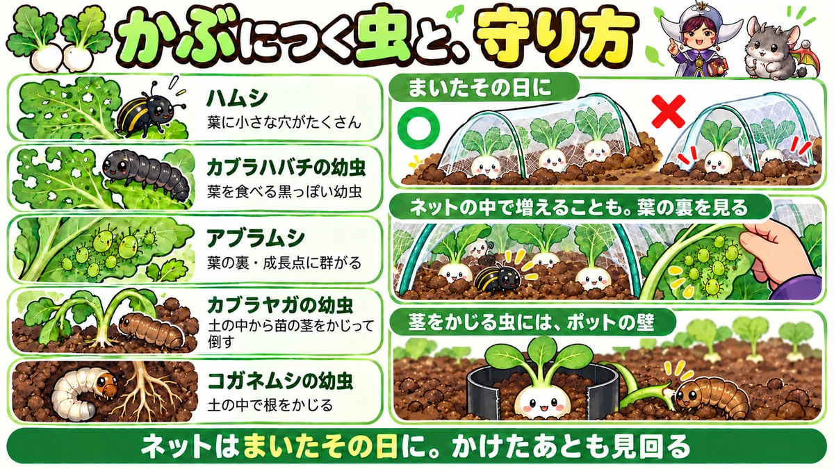 虫の見分けと守り方