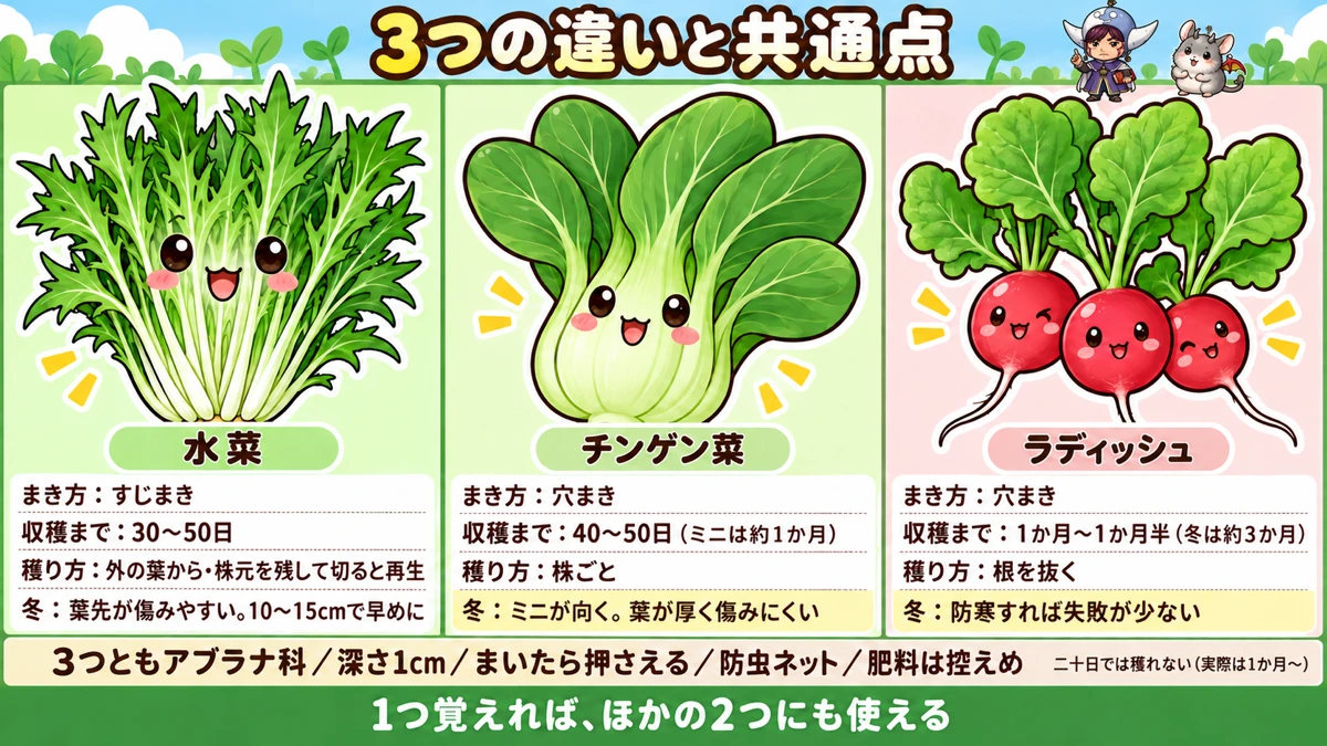 3つの早見