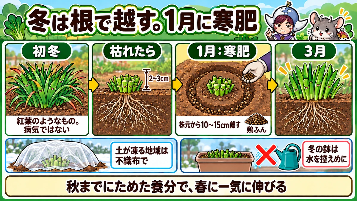 冬越しと寒肥