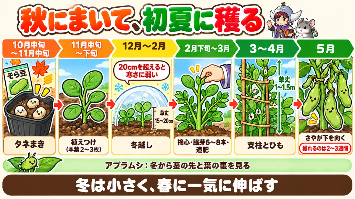 1年の流れ