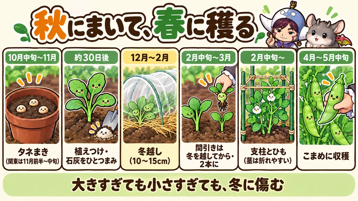 1年の流れ