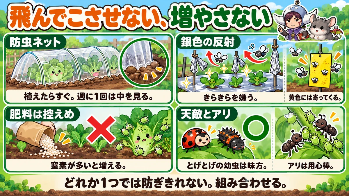 増やさない予防