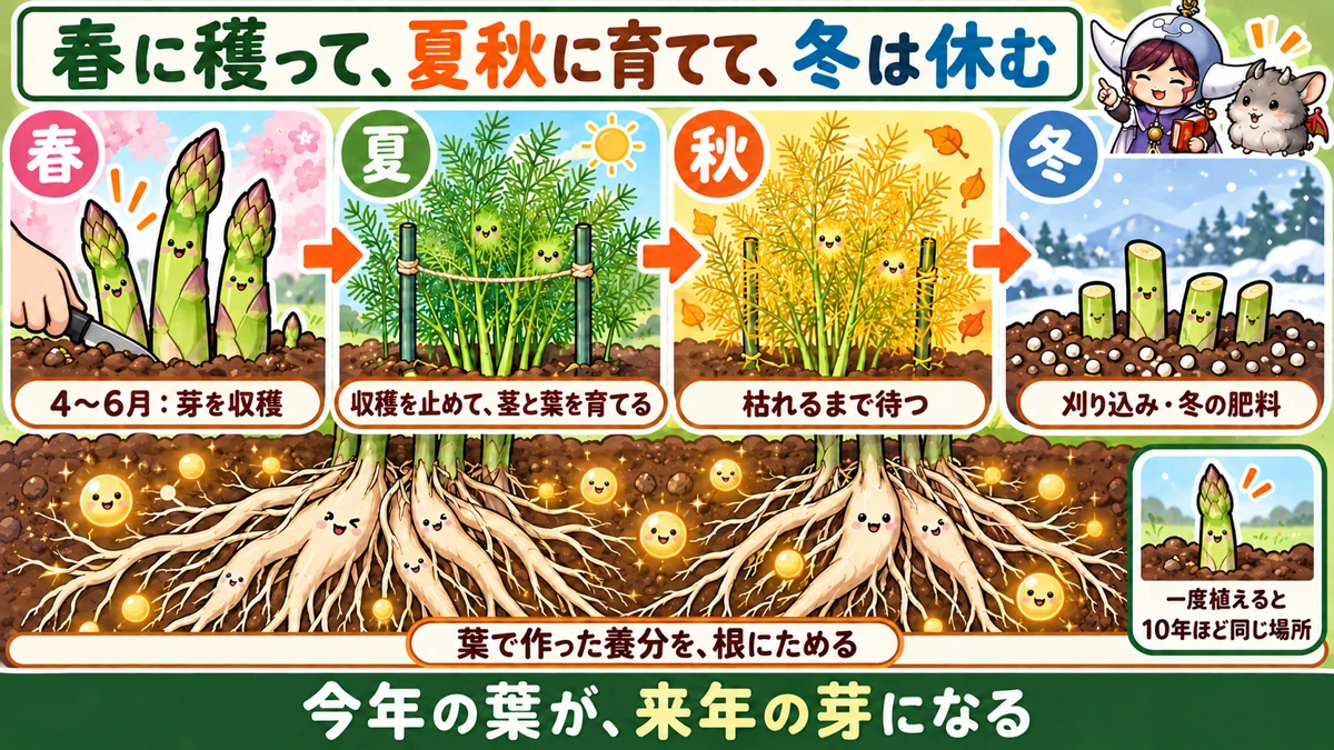 1年の流れ