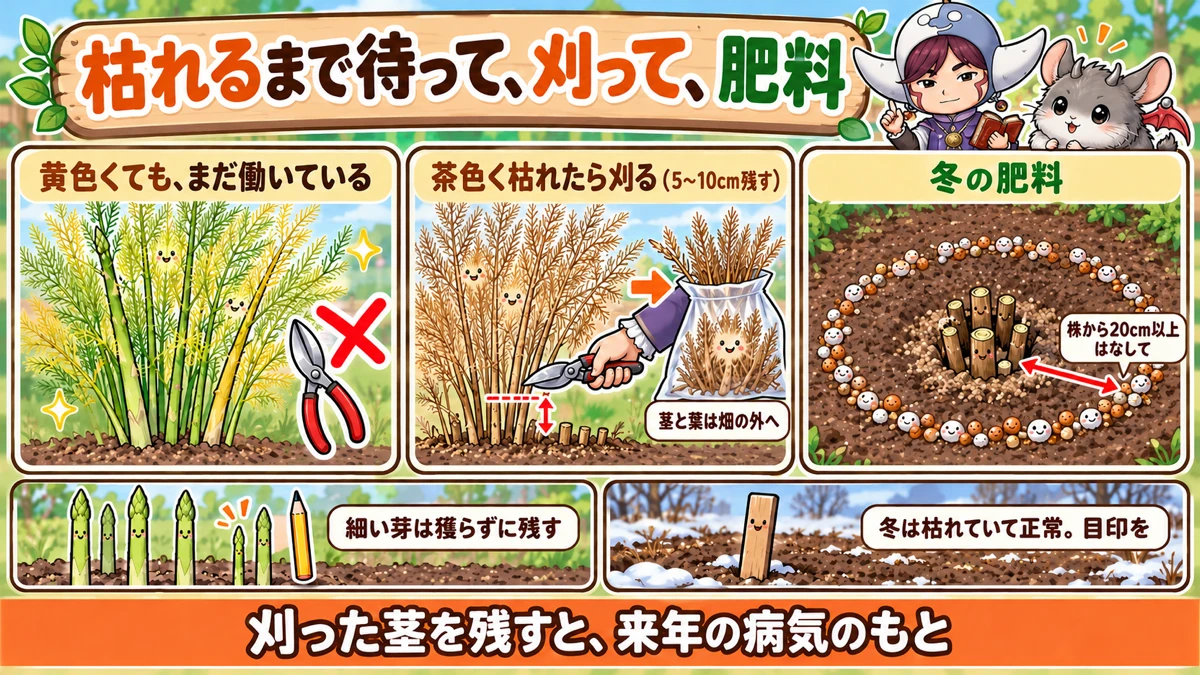 秋冬の手入れ
