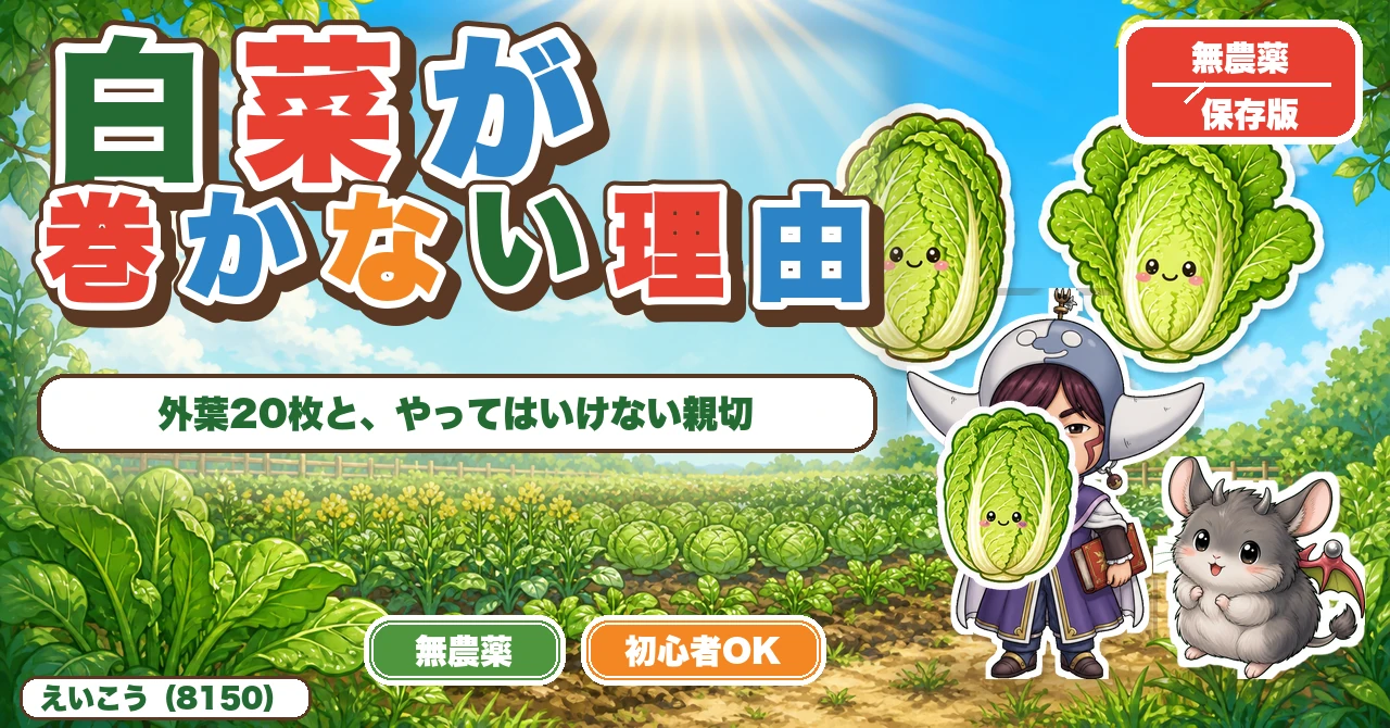 【保存版】白菜が巻かない本当の理由🥬