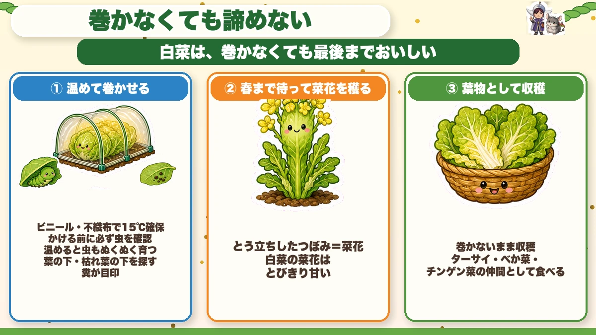巻かなくても諦めない 回収方法3つ