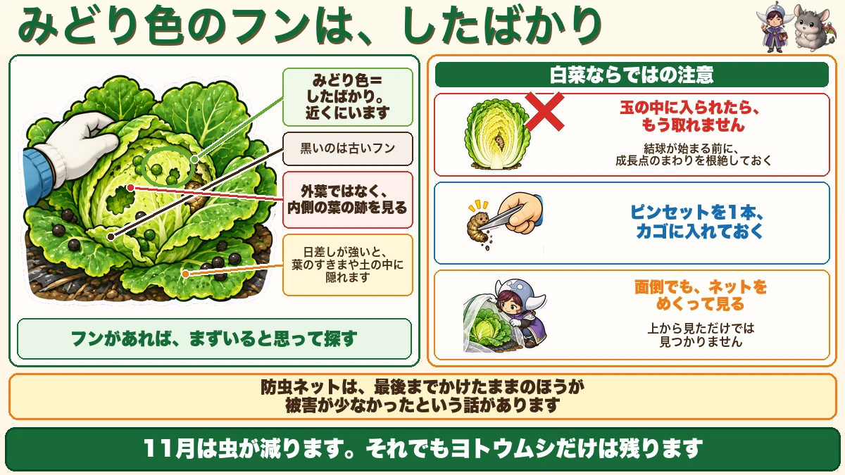 ヨトウムシは糞で探す
