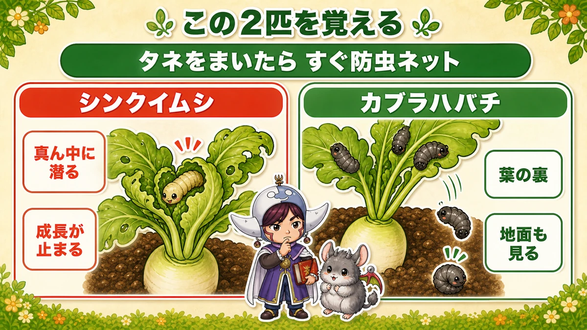 シンクイムシとカブラハバチ