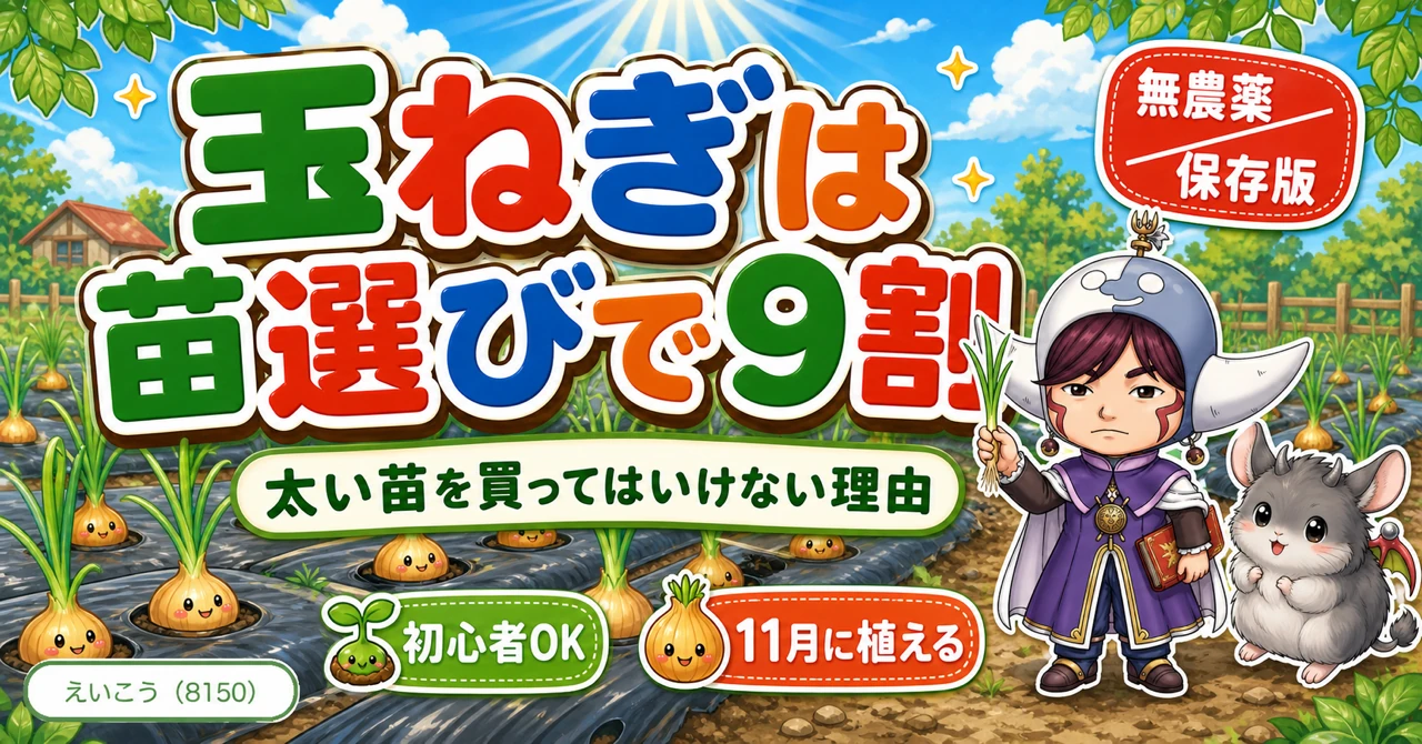 【保存版】玉ねぎは苗選びで9割決まる🧅
