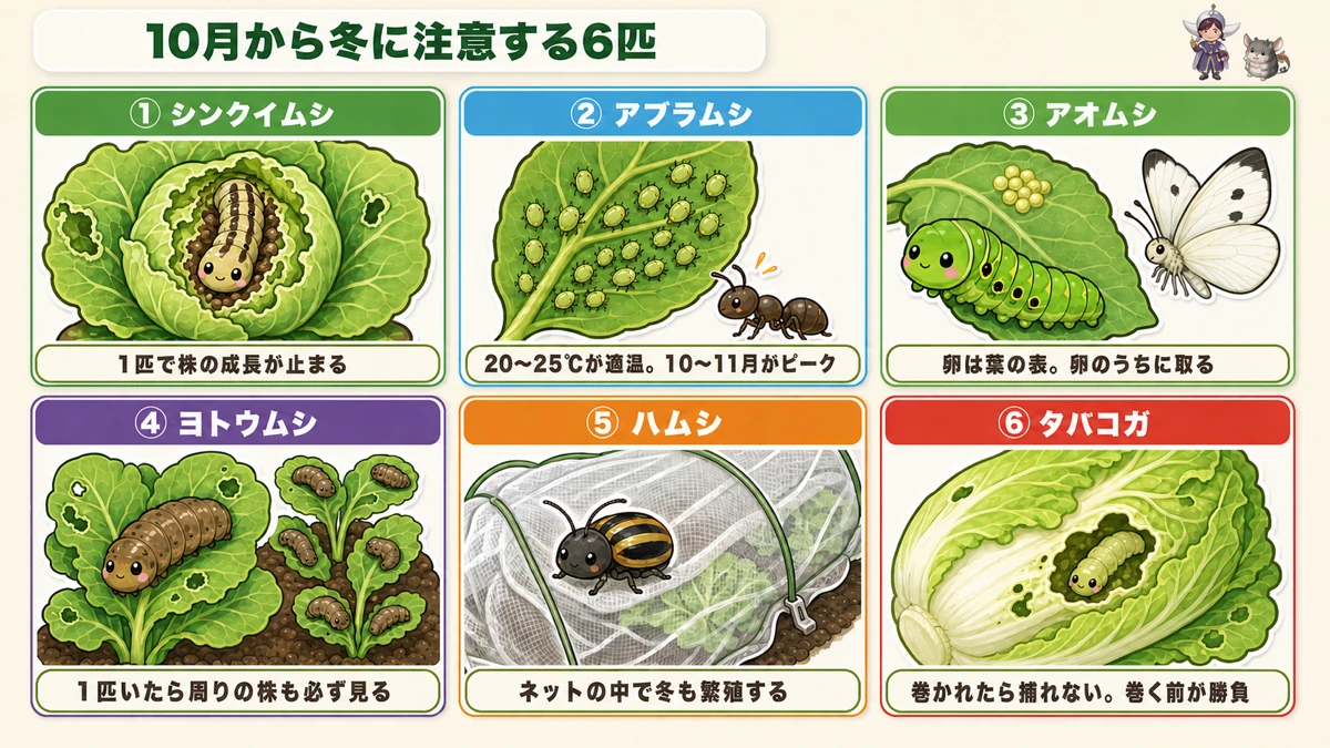 10月から冬に注意する虫6匹