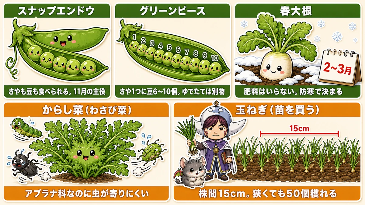 11月に植える5つの野菜
