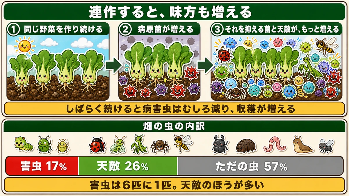 連作すると天敵も増える発病衰退現象と、畑の虫の内訳