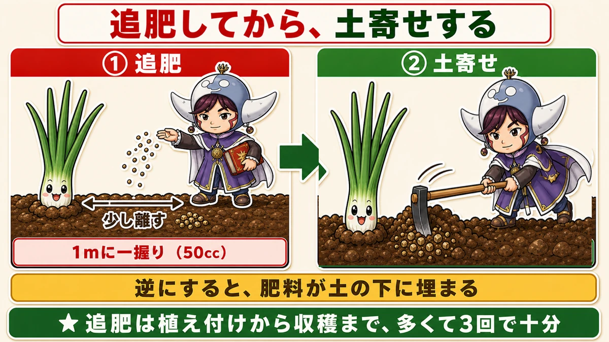 追肥してから土寄せする順番
