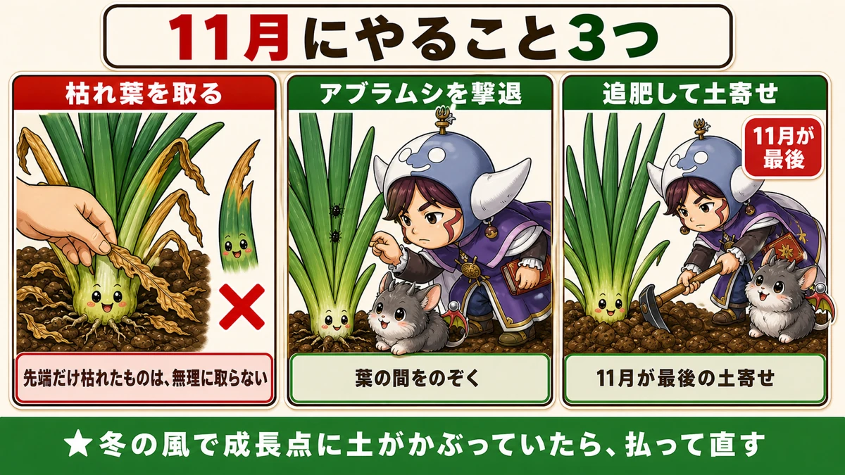 11月にやる枯れ葉取り・アブラムシ・土寄せ