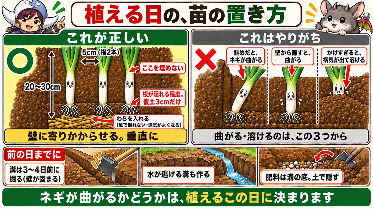 溝に立てかける