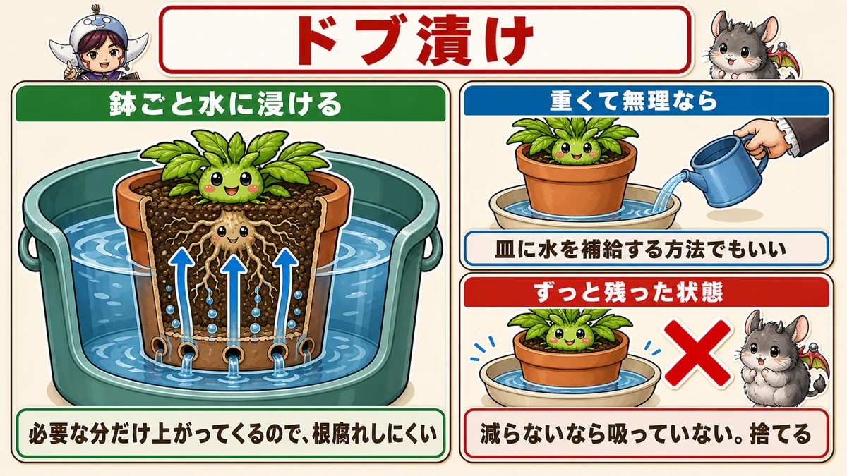 プランターごと水に浸ける水やり