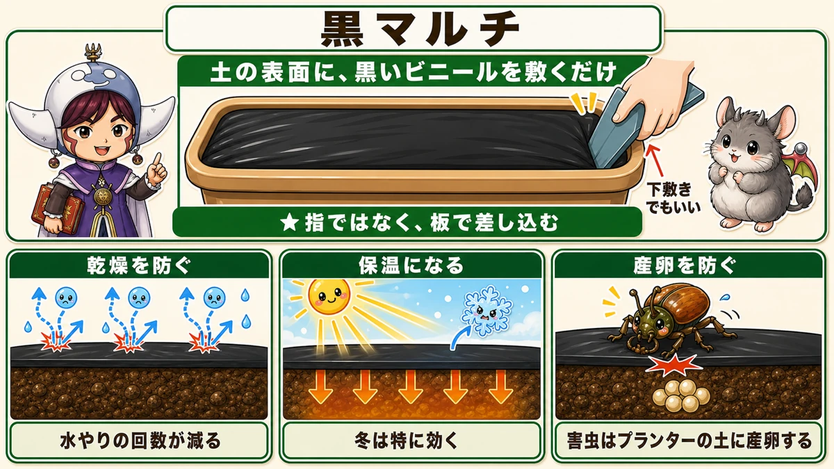 黒マルチの3つの効果