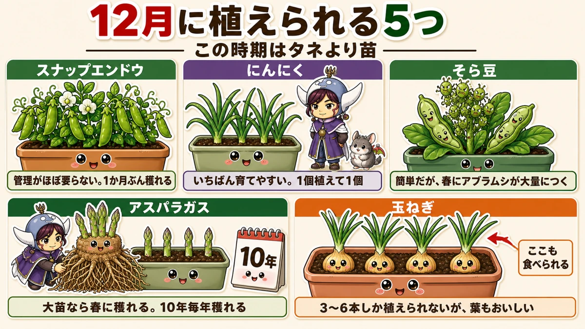 12月にプランターで植えられる5つ