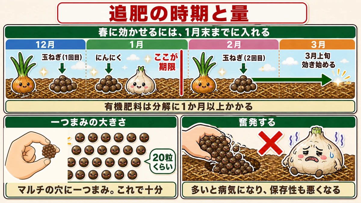 追肥の時期と一つまみの大きさ