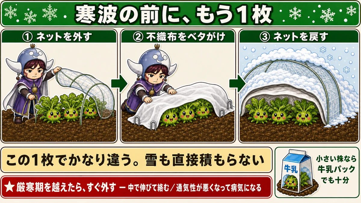 防虫ネットの下に不織布を1枚