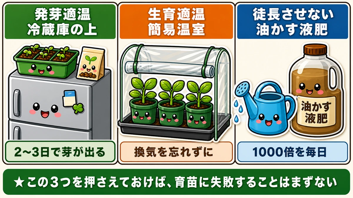 冷蔵庫の上・簡易温室・油かす液肥