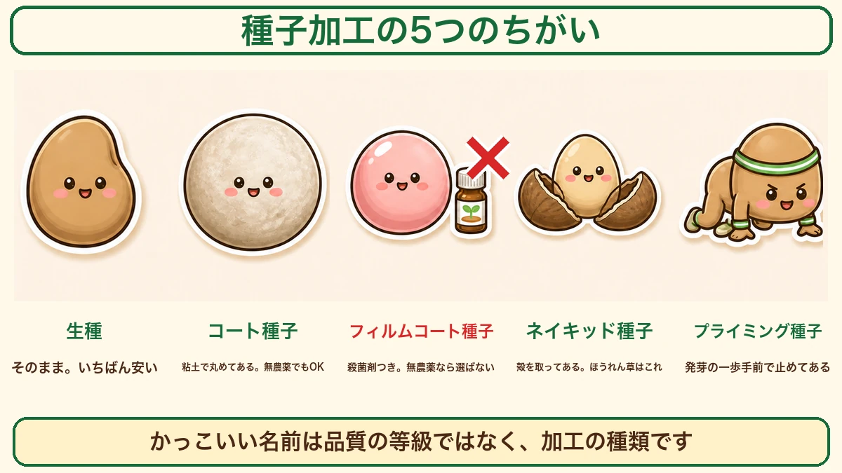 種子加工5種のちがい