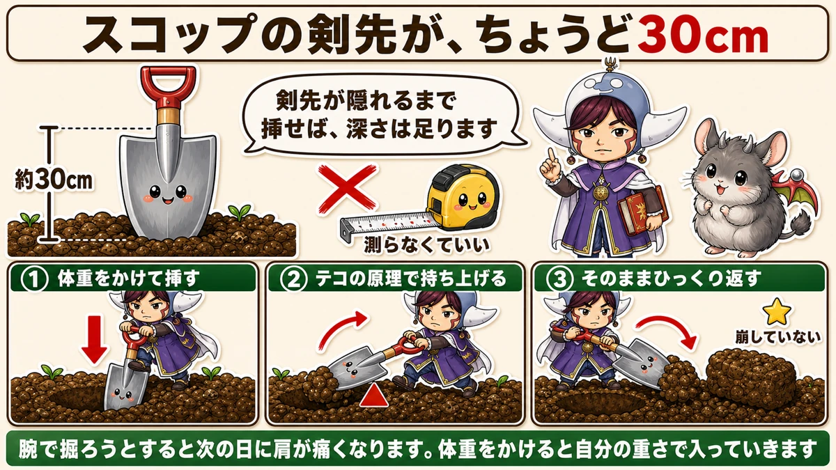 スコップの剣先は約30cm、テコの原理で裏返す