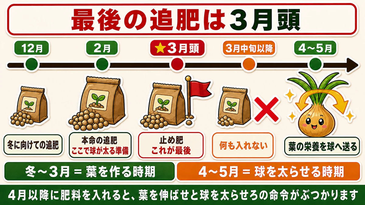 止め肥は3月頭、それ以降は入れない