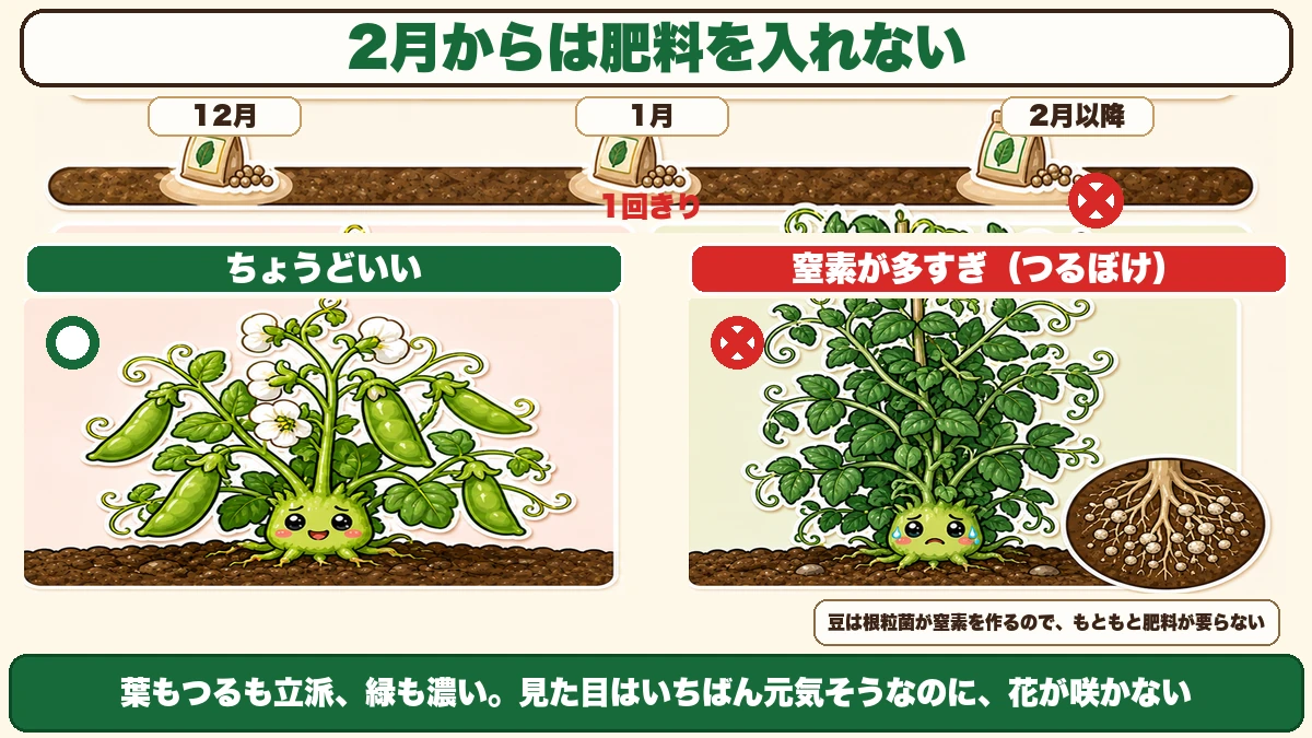 2月以降は追肥をしない、つるぼけの比較