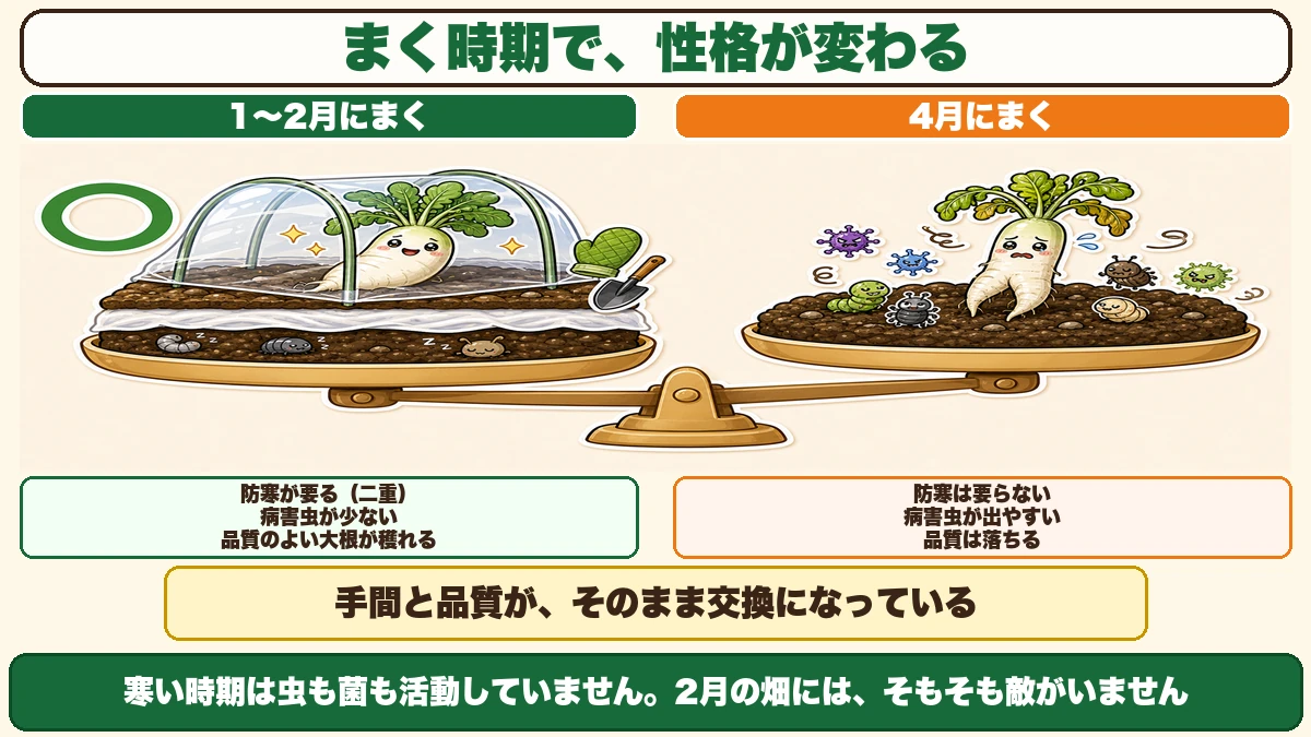 1〜2月まきと4月まきの交換