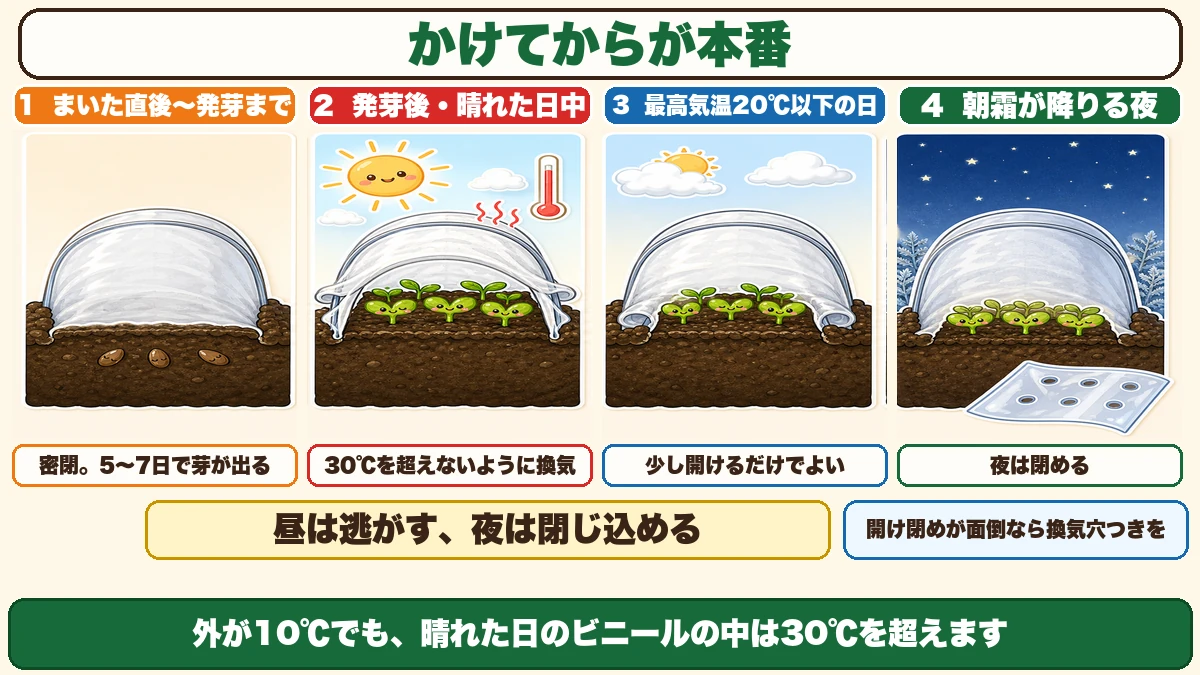 発芽まで密閉、30℃を超えないよう換気