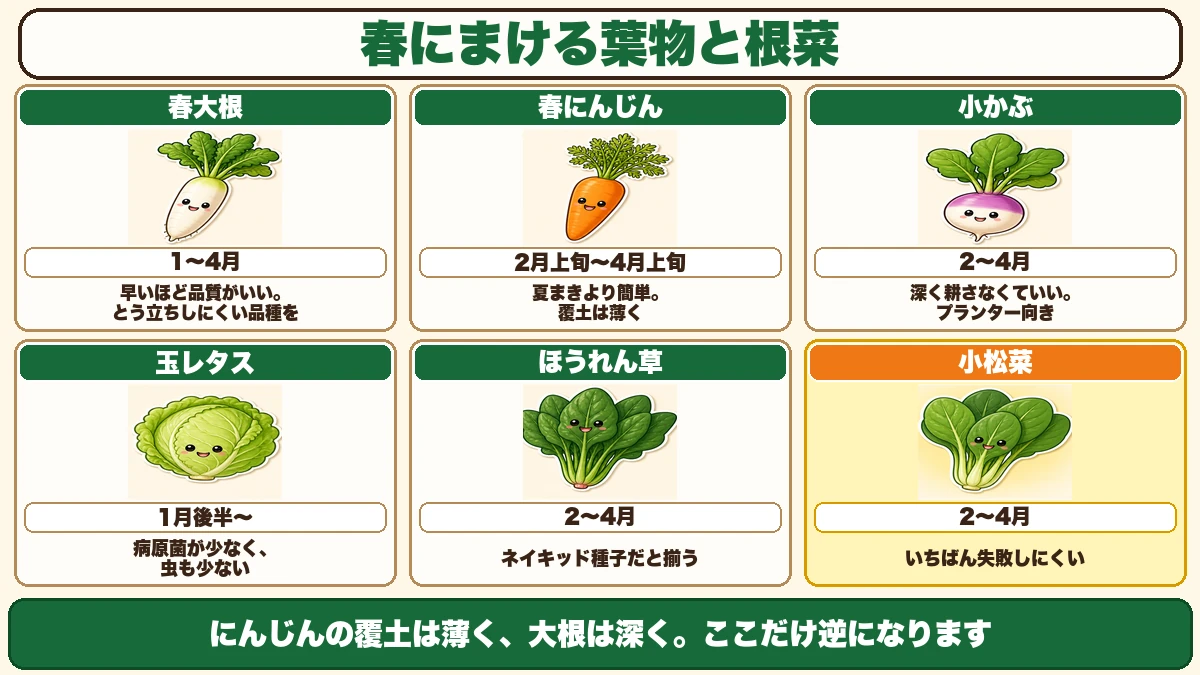 春にまける葉物と根菜6つ