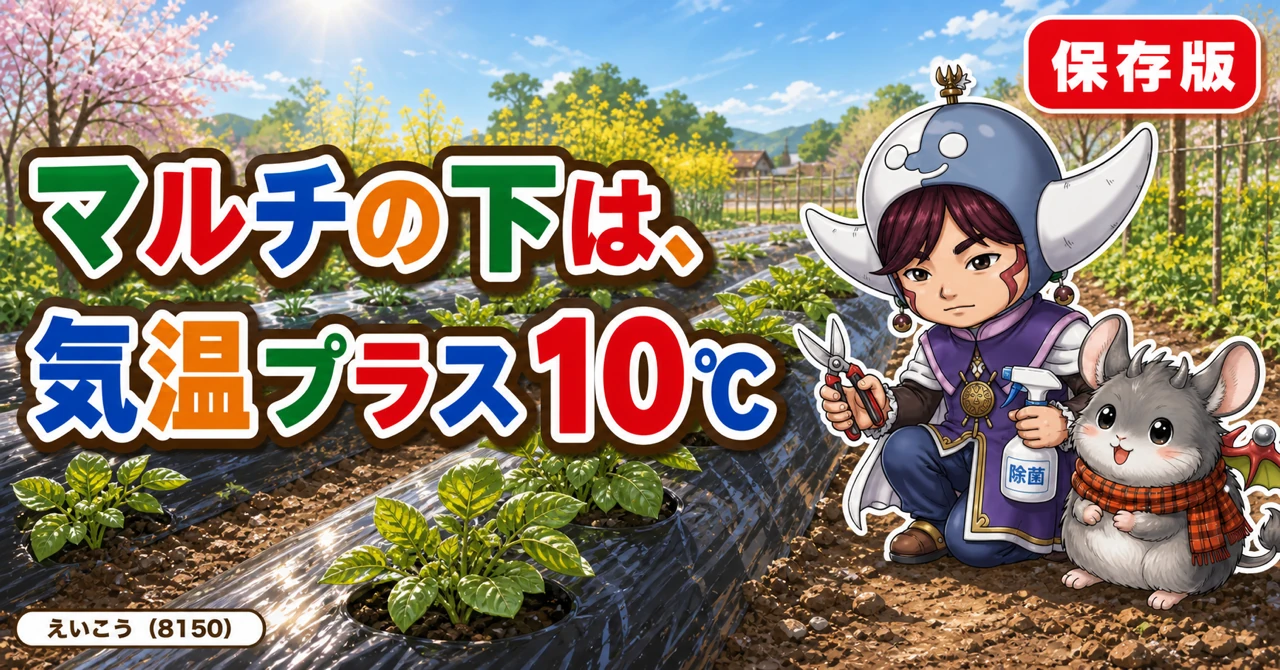マルチの下は気温プラス10℃🥔
