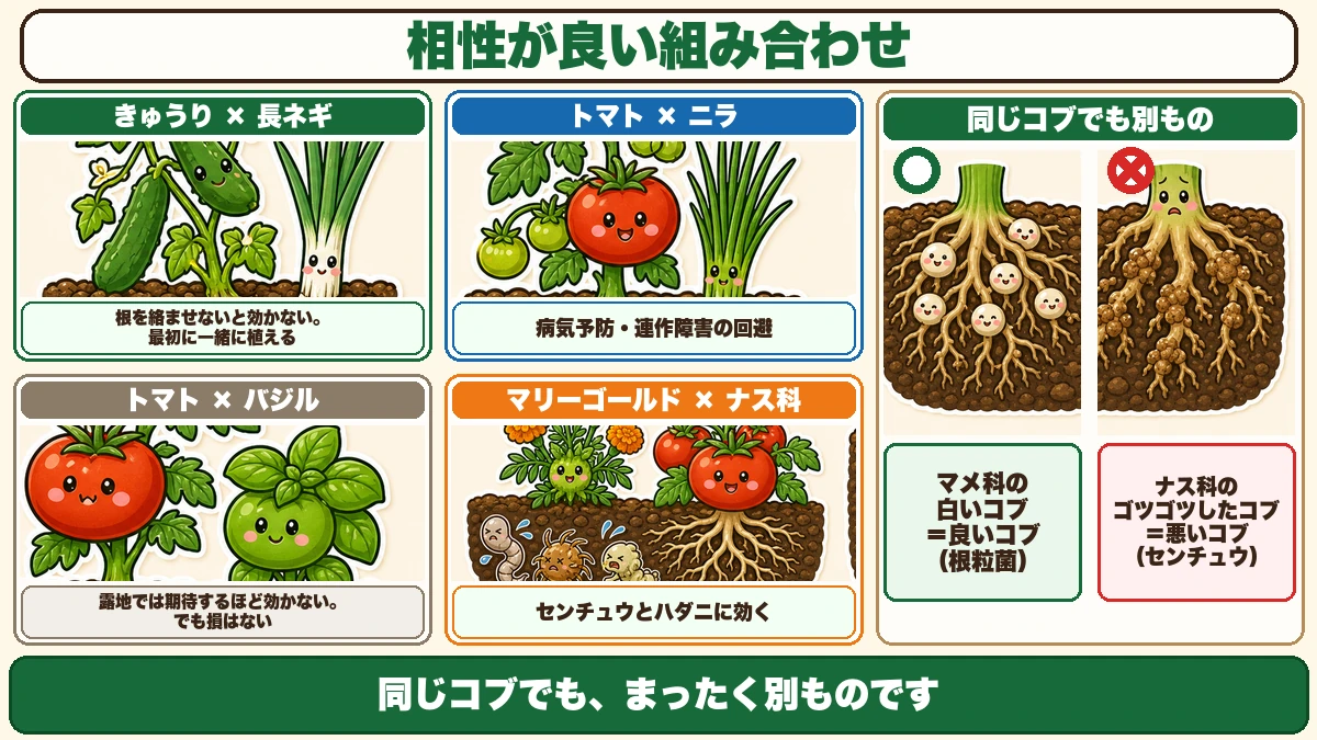 相性が良い組み合わせ4つ