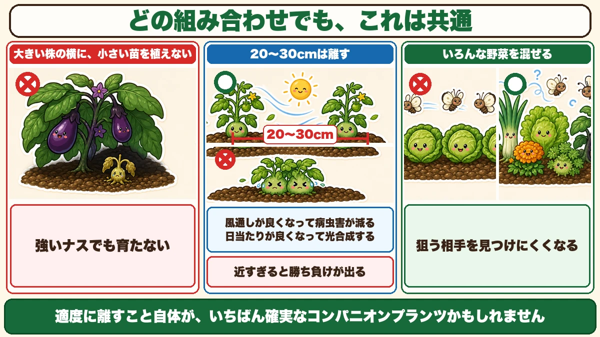 混植の基本3ルール