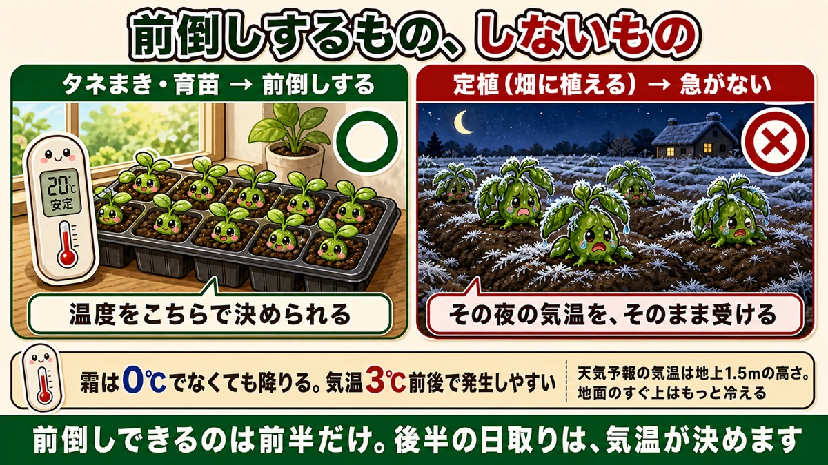 タネまきは前倒し、定植は急がない